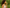 Geur producten Amazing Curls - hoe ruiken de krullenproducten