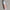 krullencreme travelsize - cg - curly girl methode